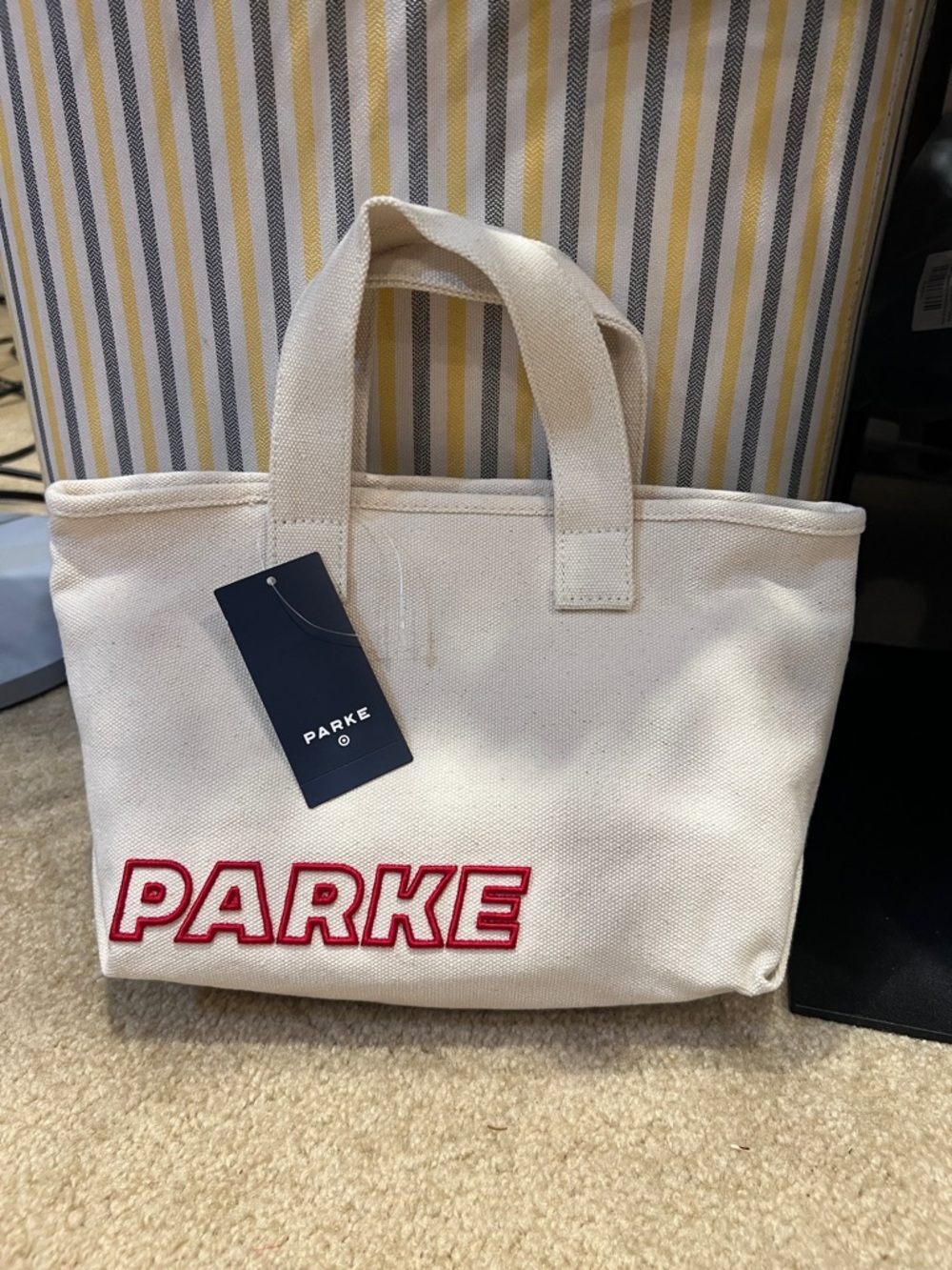 PARKE x target mini canvas tote